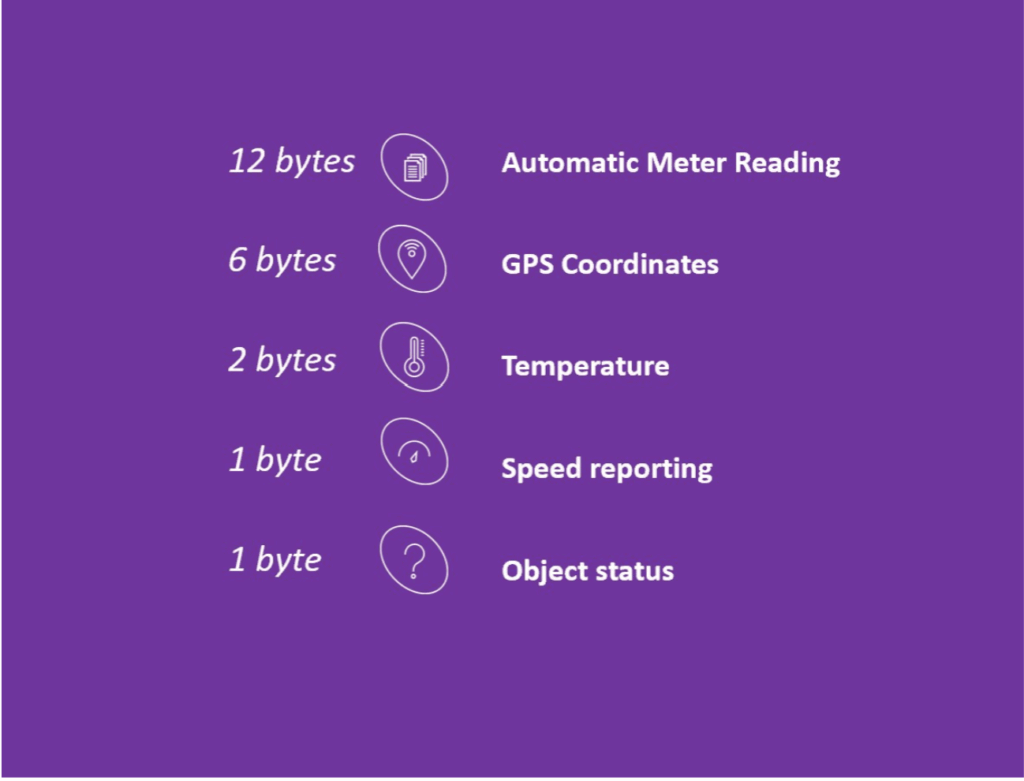 12 bytes