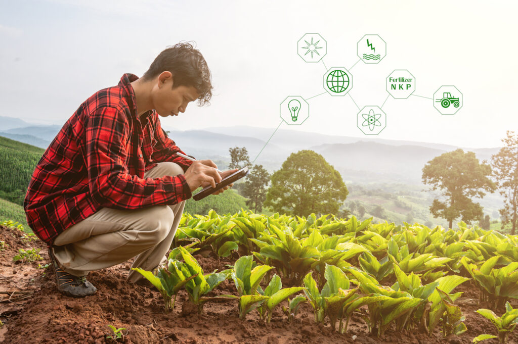 Estaciones meteorológicas conectadas con agricultura inteligente