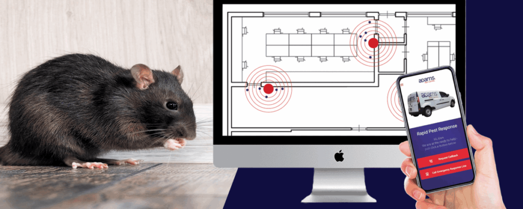 vigilancia digital de roedores IoT