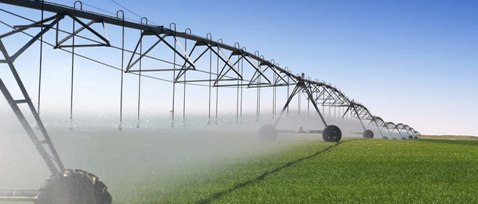 IoT Agriculture