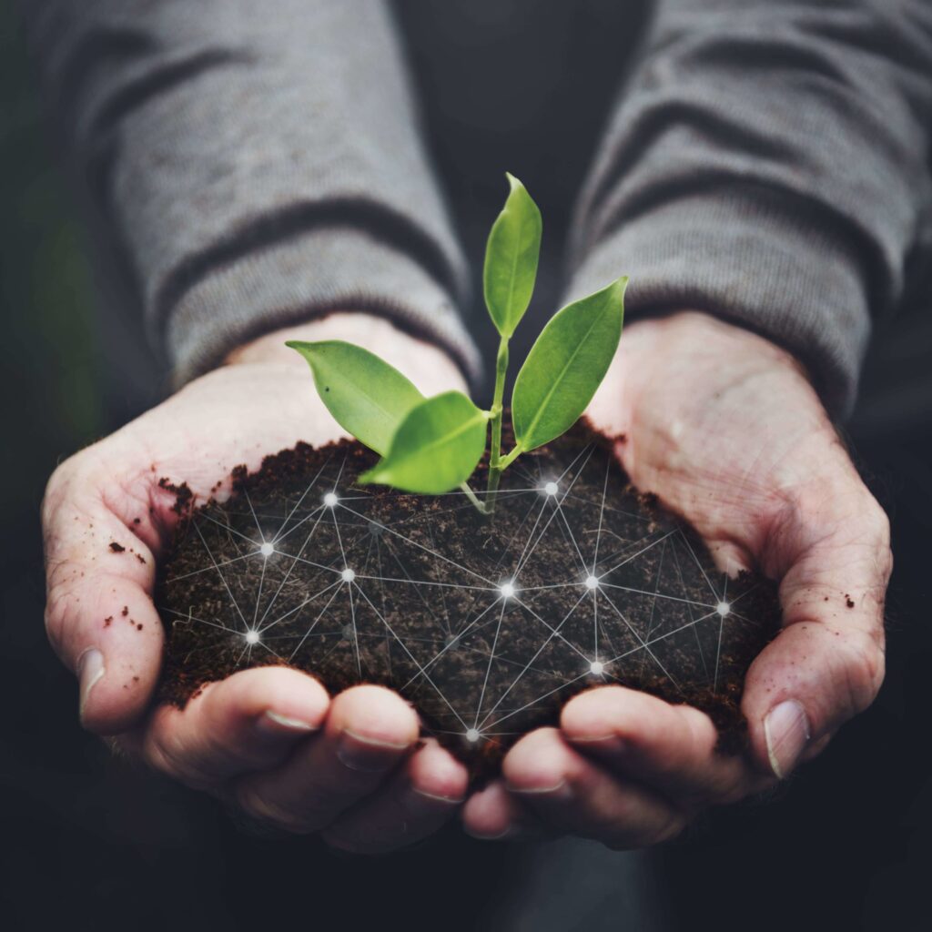 smart agriculture